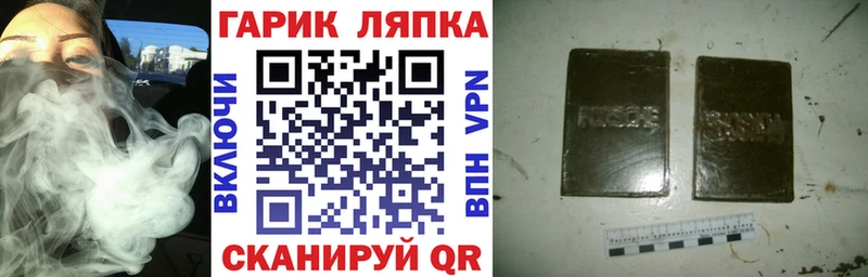 ГАШ Изолятор Руза